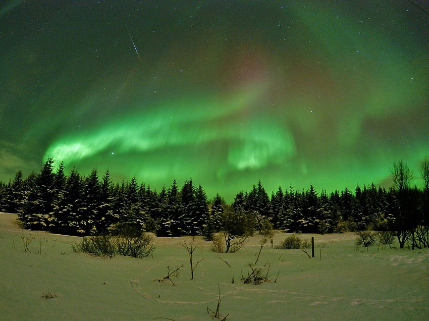 Our hunt for the Northern Lights was pretty damn successful, reykjavik HD wallpaper
