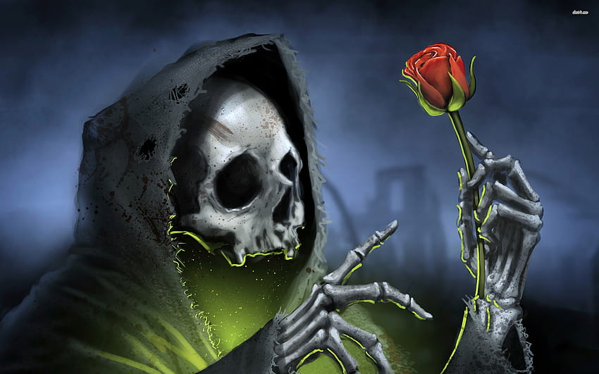 Death And A Rose, dying rose HD wallpaper