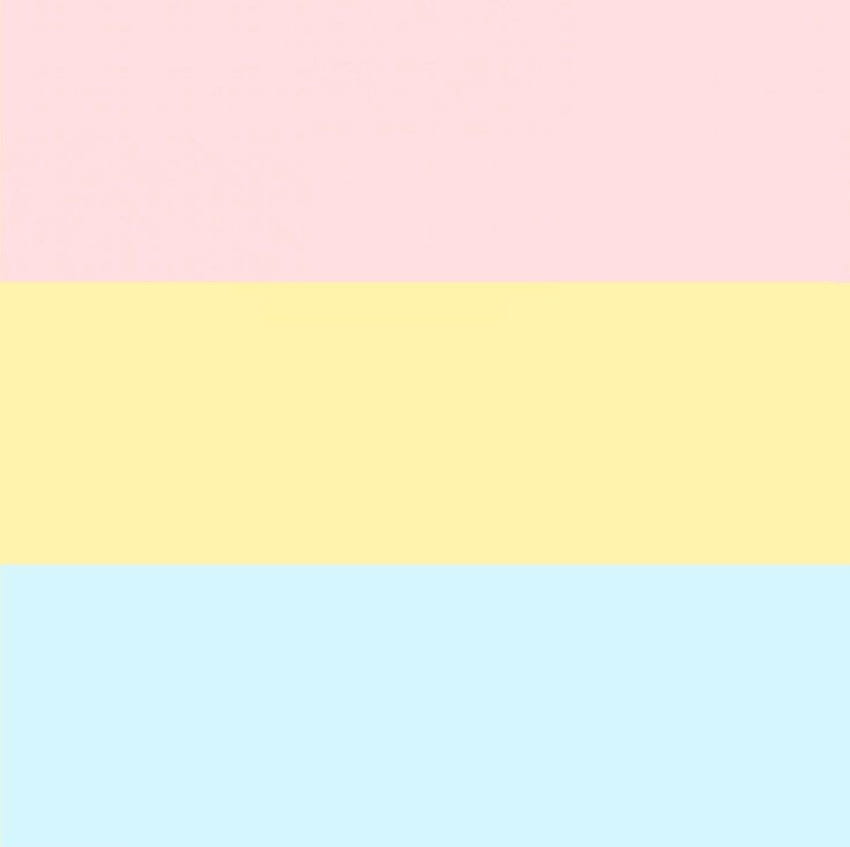 Download Cute LGBT Pansexual Flag Wallpaper  Wallpaperscom