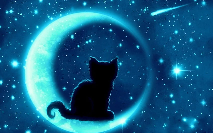 Köpek, kedi ve ay üzerinde Kara Kedi Ayı HD duvar kağıdı