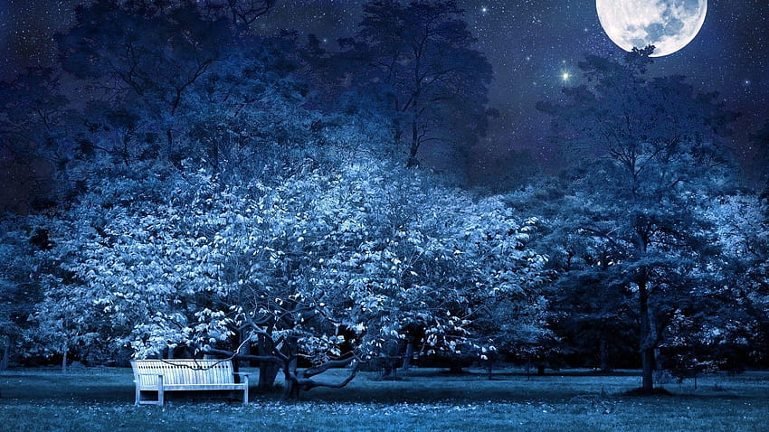 1920x1080 night, bench, park, trees, stars, full, full moon night HD wallpaper