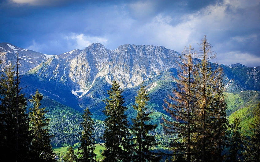 nature, Landscape, Mountain, Forest, Carpathians, Trees, Clouds, poland HD wallpaper