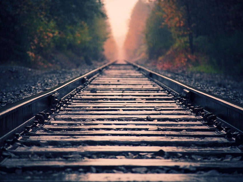 Railway, autumn and railroad tracks HD wallpaper