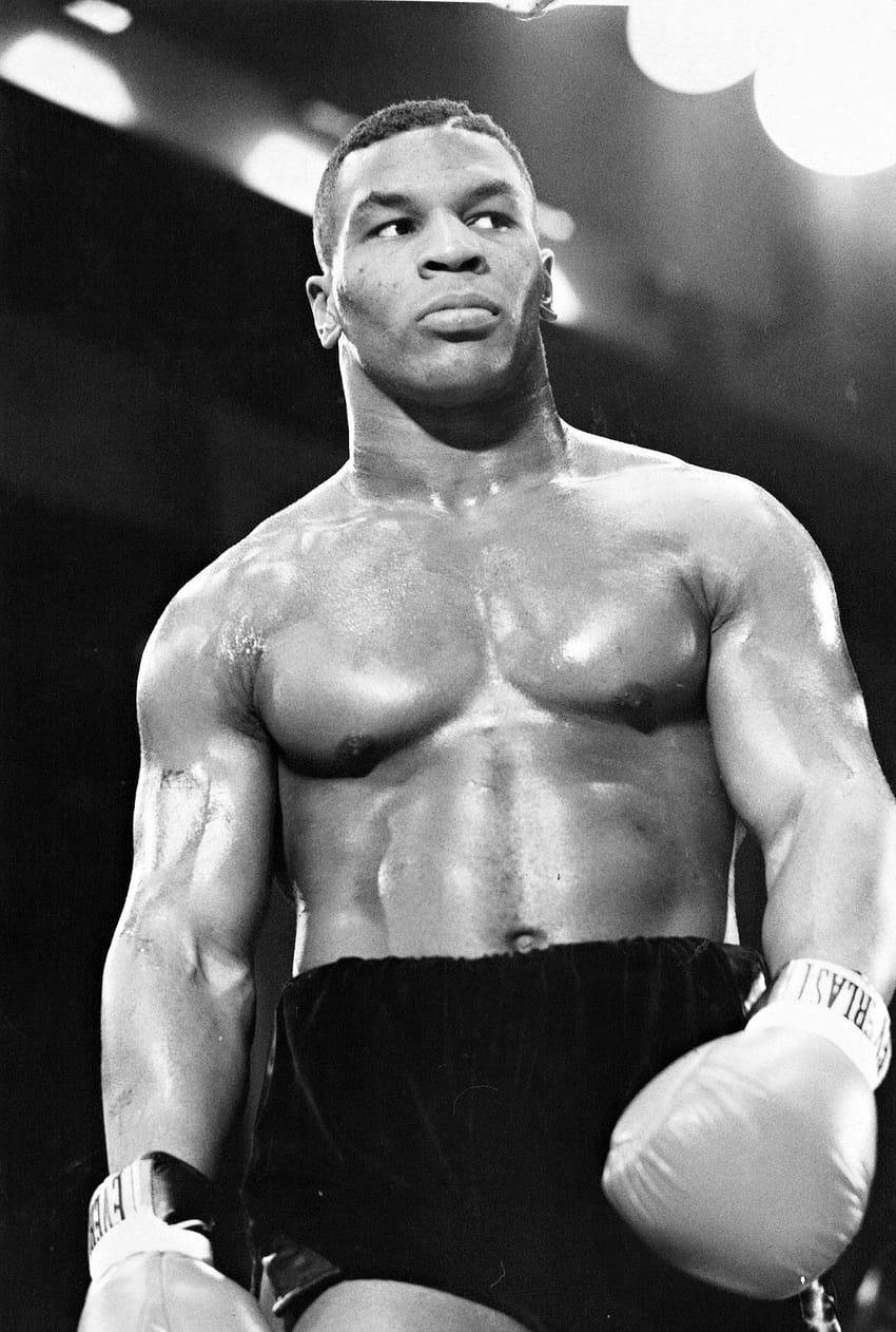 Mike Tyson box boxing fight fighting iron mike tyson HD phone  wallpaper  Peakpx