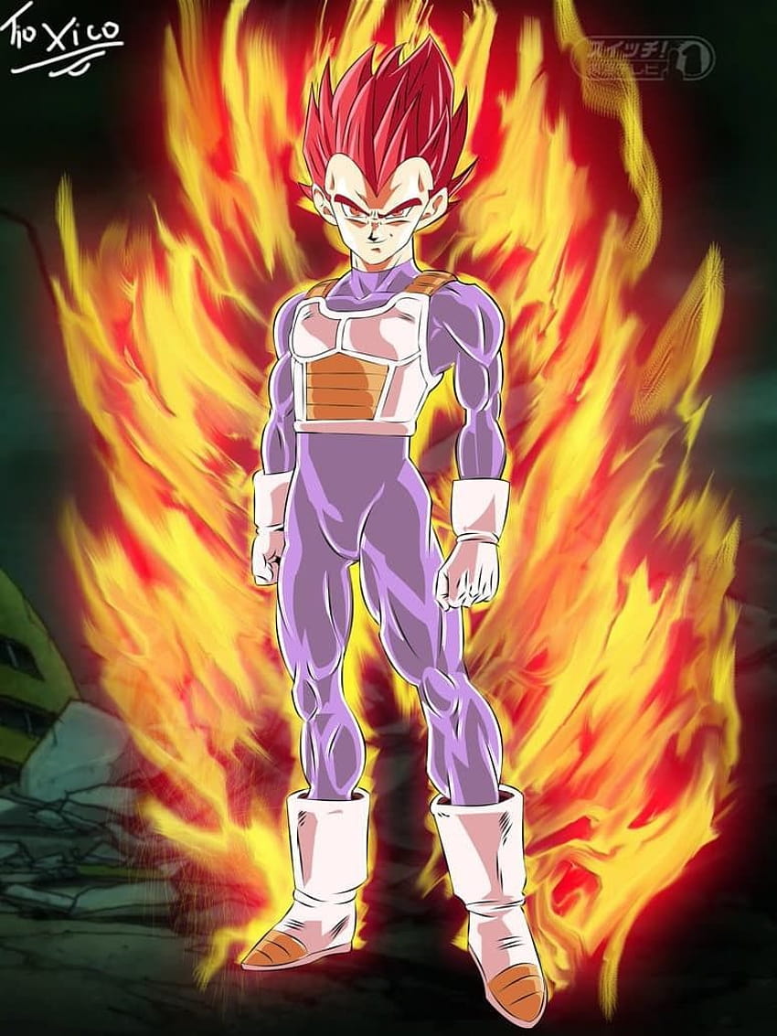 Introducir 88 Imagen Imagenes De Vegeta Ssj Dios Rojo Viaterramx 8559