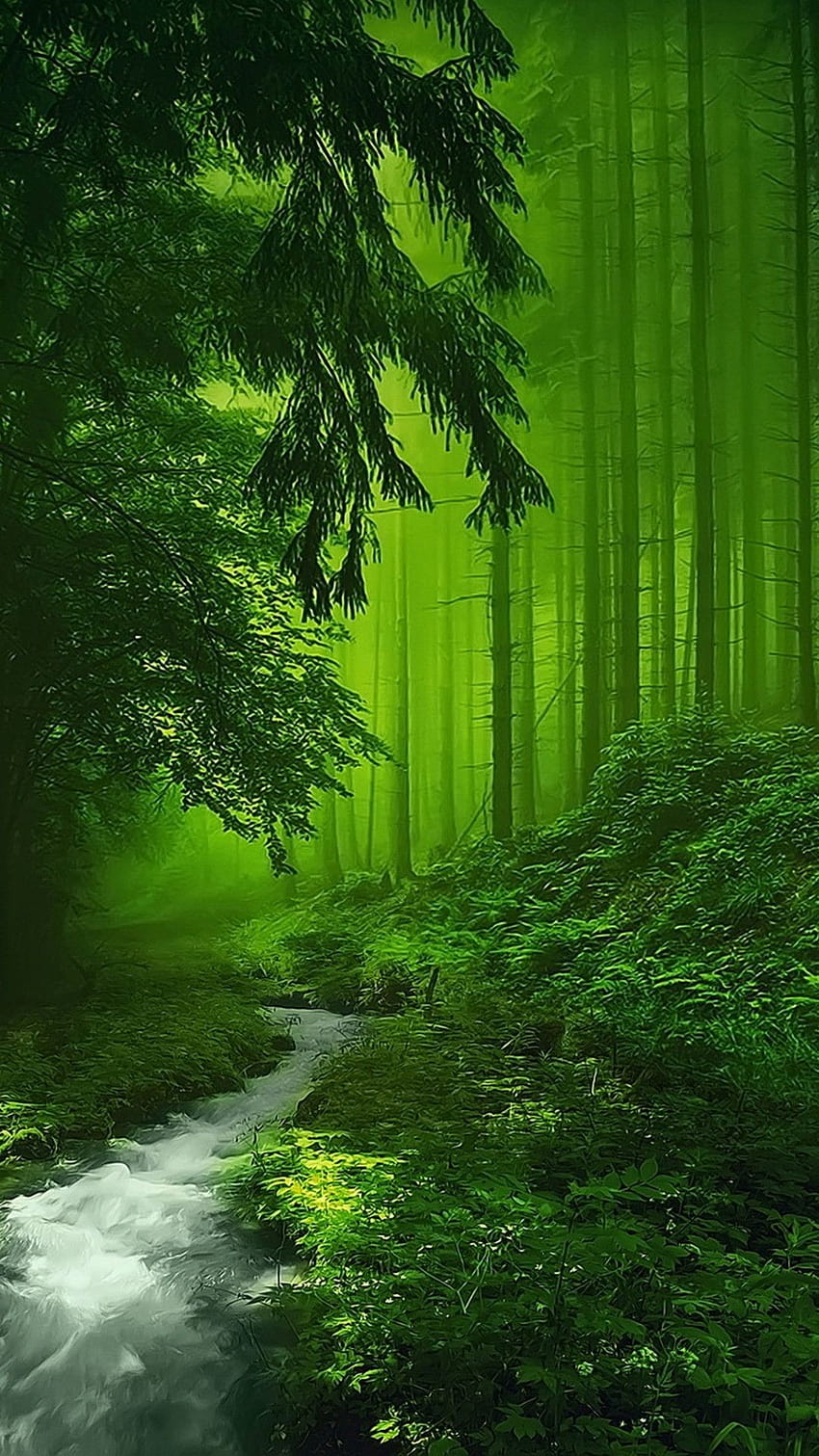 Belo cenário de floresta de anime de fantasia