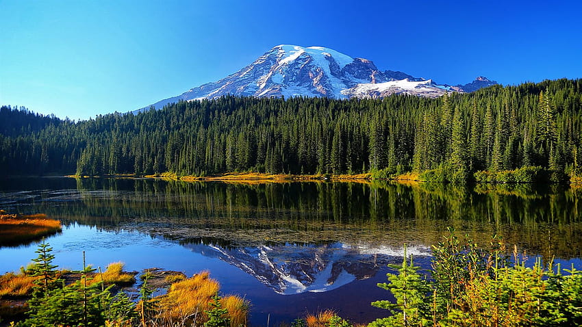 Mount Rainier National Park, lake, trees, mountains, water, mount rainier np HD wallpaper