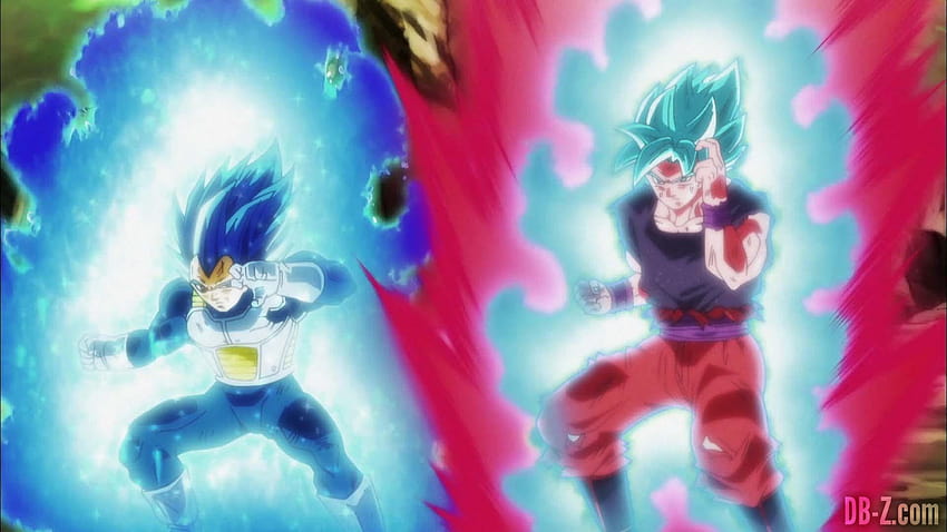 Goku And Vegeta UI Wallpaper 126389 - Baltana