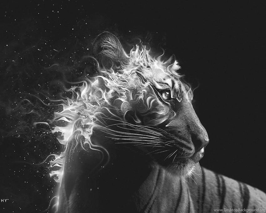 Creatività e grafica Fuoco di tigre in bianco e nero. Nero... Sfondi, fuoco grigio Sfondo HD