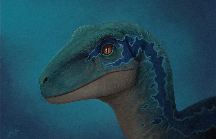 mavi jurassic dünya, indoraptor vs mavi HD duvar kağıdı