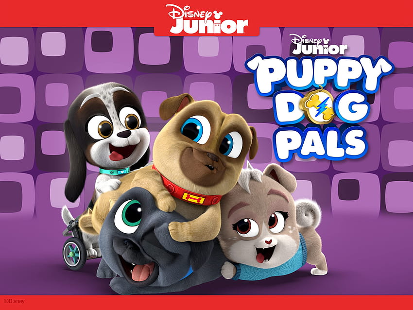 Watch Disney Junior Puppy Dog Pals, puppy dog pals bingo HD wallpaper