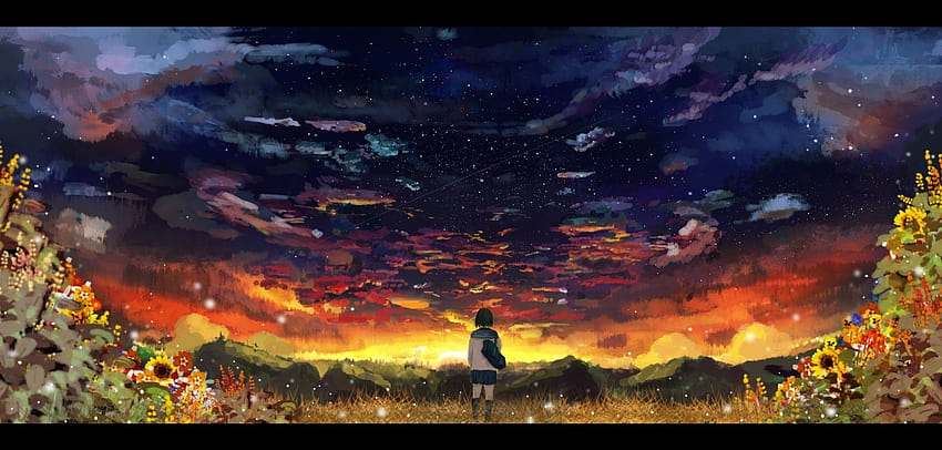 sonnenuntergang, wolken, blumen, sterne, gras, landschaftlich, seifuku, anime, grünland anime HD-Hintergrundbild