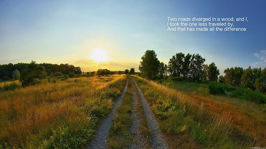 Two Roads by Robert Frost, road less traveled HD wallpaper
