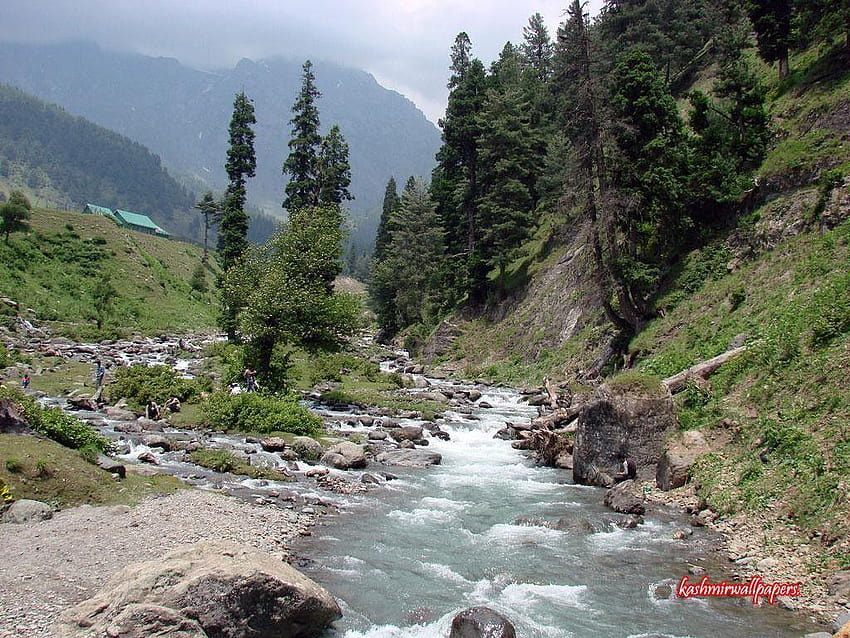 Lakes: Health Giving Water Stream Green Kashmir Mountains Backgrounds HD wallpaper