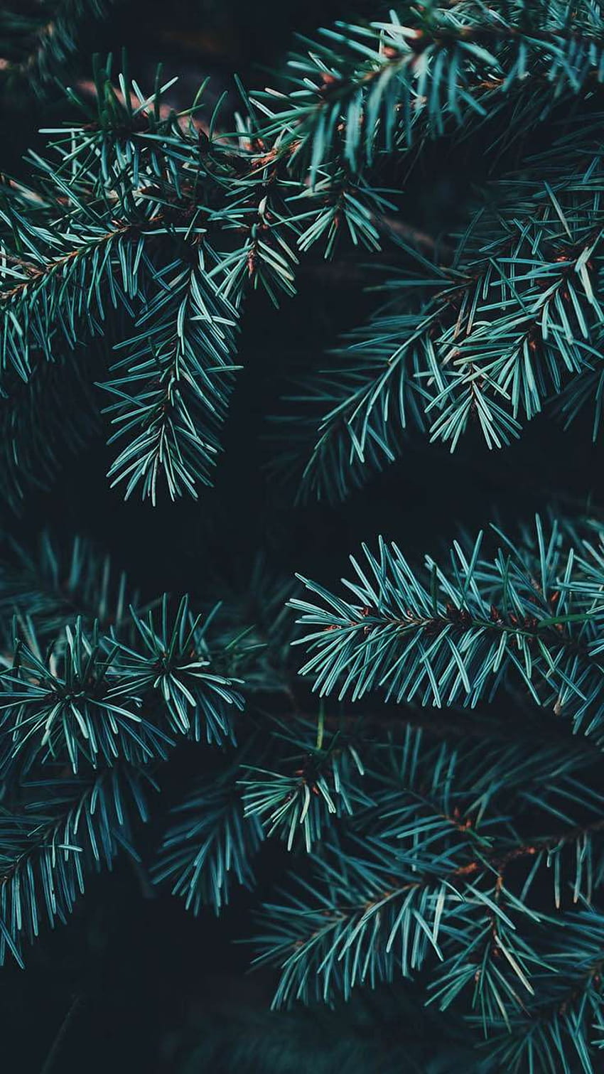 Rose Gold Christmas Tree Tumblr, xmas for iphone HD phone wallpaper