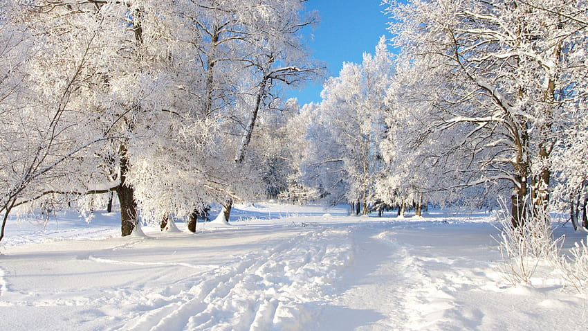 Paesaggio invernale ... afari, 1920x1080 paesaggio invernale Sfondo HD