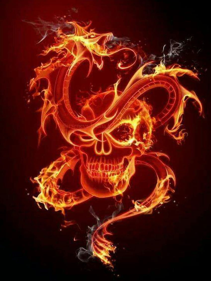 Flaming Skull & Dragon, czaszki i smoki Tapeta na telefon HD