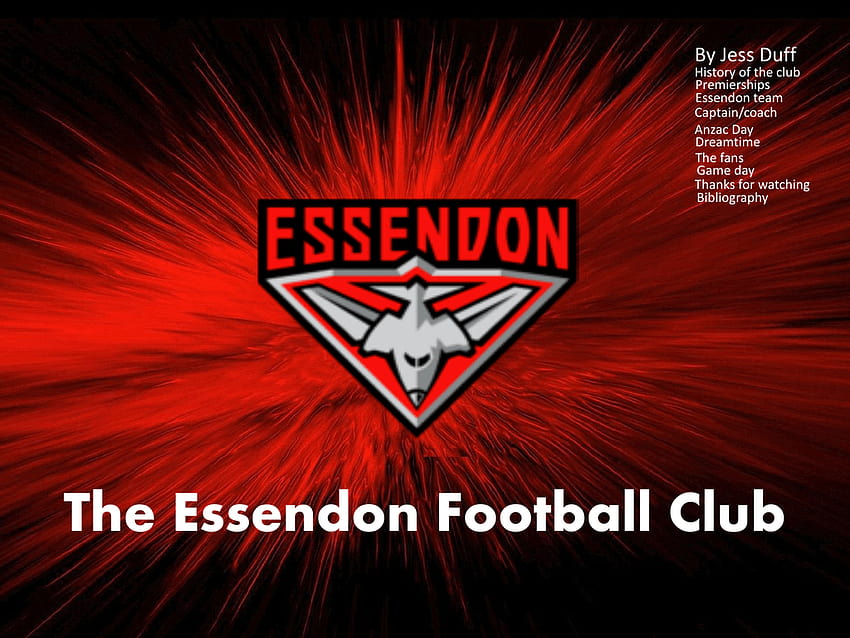 Powerpoint на футболния клуб Essendon, бомбардировачи Essendon HD тапет