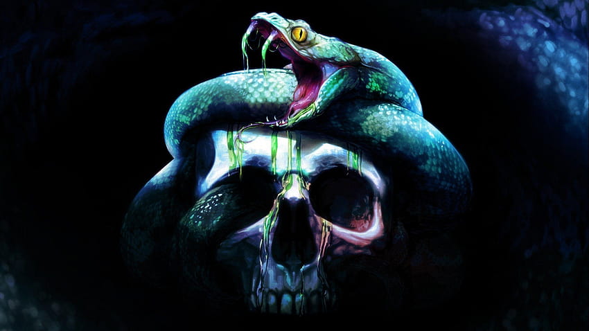 Skull Snake Artwork, evil skull HD wallpaper