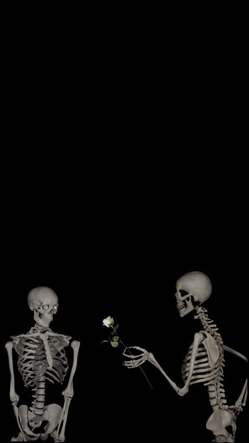 Liebes-Schädel-Paar, niedliches Skelett HD-Handy-Hintergrundbild