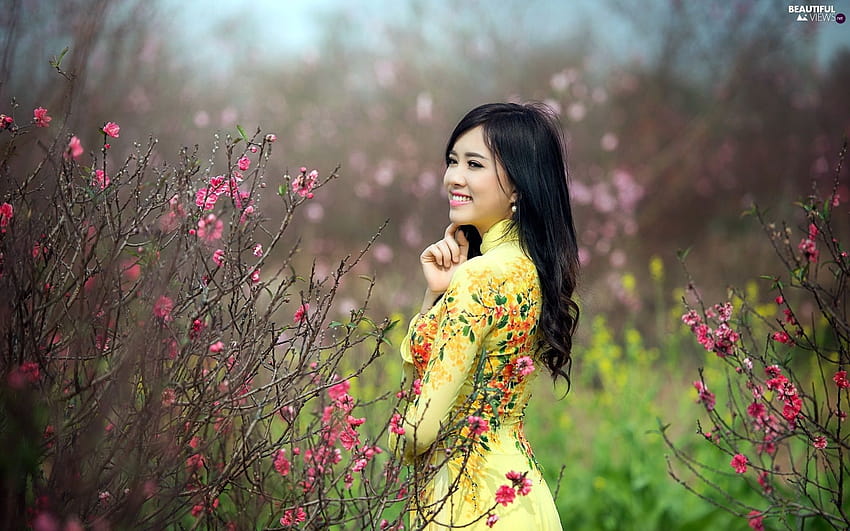 Garten, glücklich, Busch, Frühling, blühend, japanisches Mädchen, Mädchen im Frühling HD-Hintergrundbild