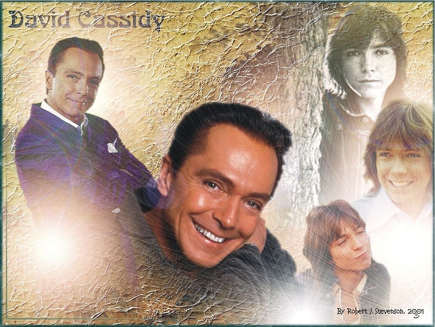 David Cassidy Hd Wallpaper Pxfuel 6798