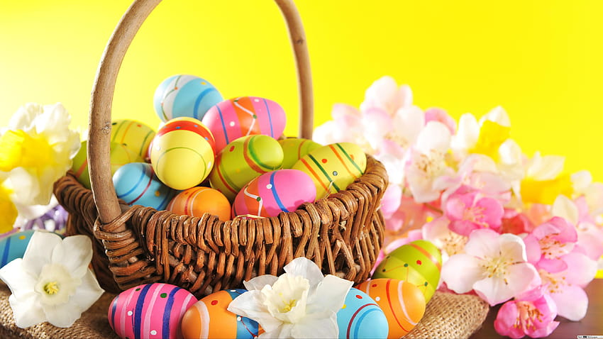 Colorful painted Easter eggs in a basket and pink cherry blossoms HD wallpaper
