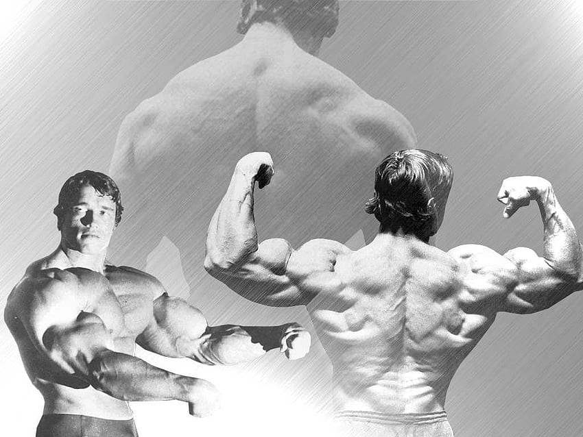 Resolusi Tinggi: Arnold Schwarzenegger, binaraga arnold Wallpaper HD