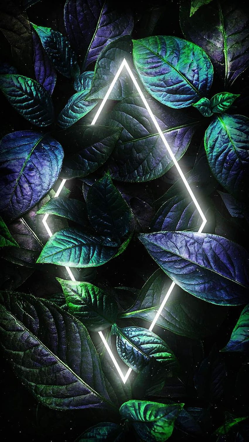 neon natury Tapeta na telefon HD