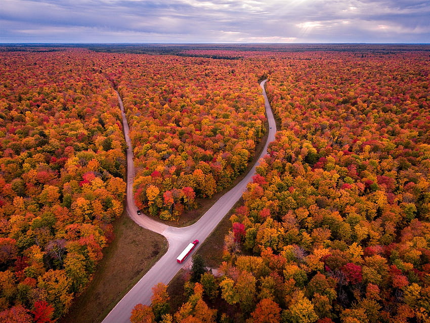 USA, Michigan, autumn, trees, road, truck, top view 1920x1440 , usa autumn HD wallpaper