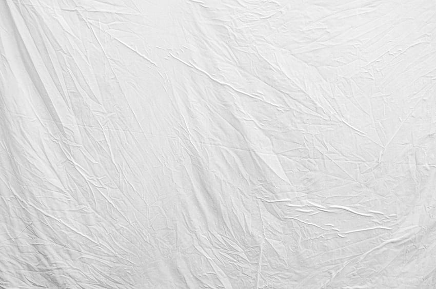 Plain & Vector White Backgrounds HD wallpaper