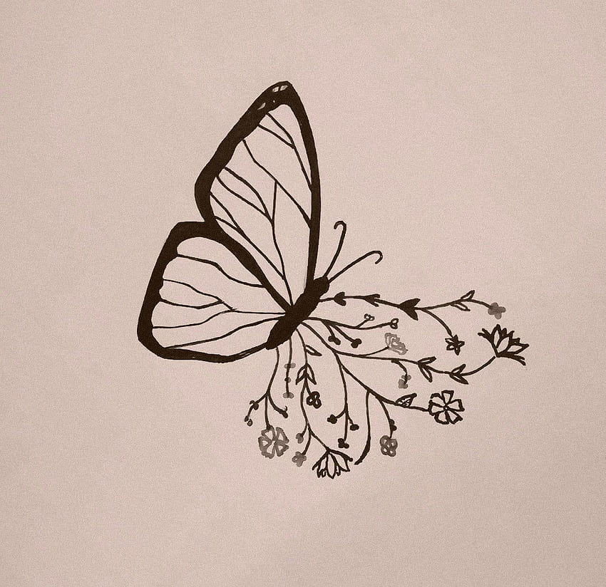 Естетична рисунка на пеперуда, естетична проста пеперуда HD тапет