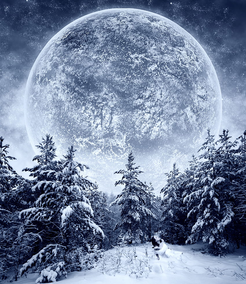 Bogini Śniegu, magiczny zimowy księżyc Tapeta na telefon HD
