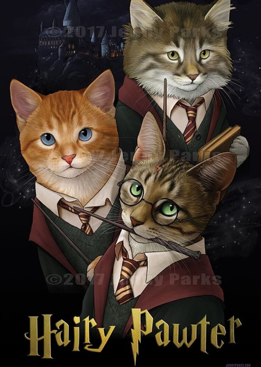 I found some cute Harry Potter cat HD phone wallpaper