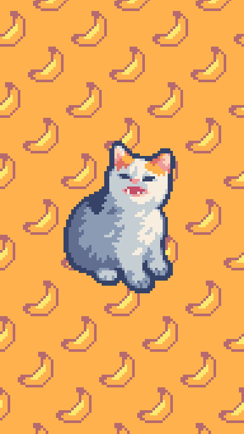 cat no pixel bananas, cat phone HD phone wallpaper