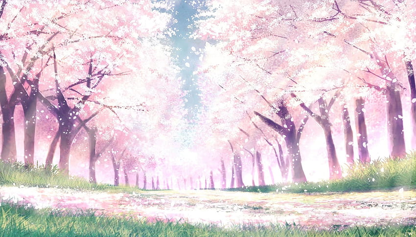 Anime: Anime-Landschaft Cherry Blossom, Anime-Bäume rosa HD-Hintergrundbild