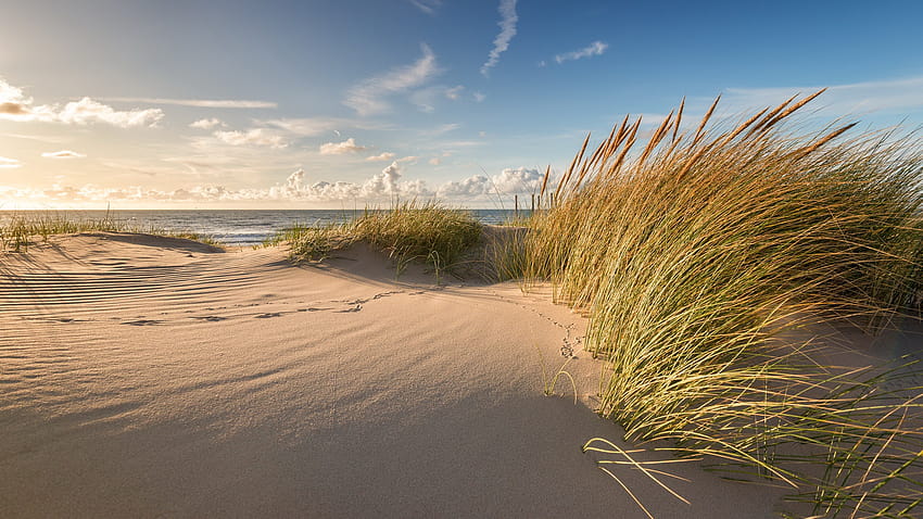 sea, summer, shore, dunes, section nature in resolution 2048x1152, 2048x1152 summer HD wallpaper