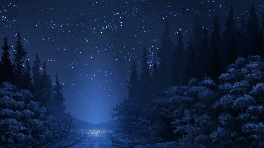 Anime Night Forest Banner HD wallpaper