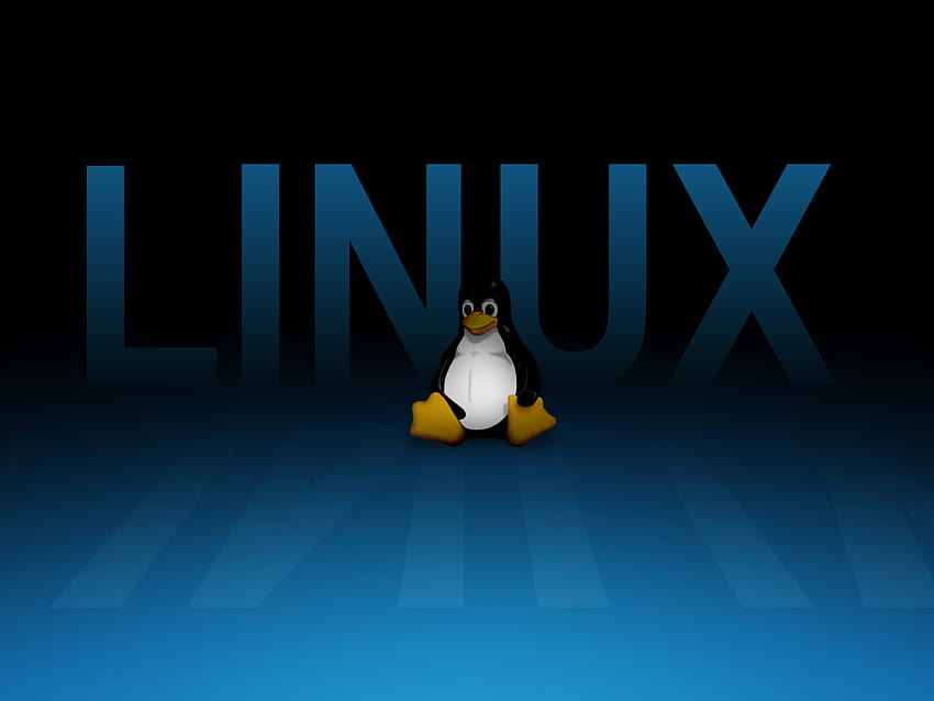 Pingouin Linux, logo Linux Fond d'écran HD