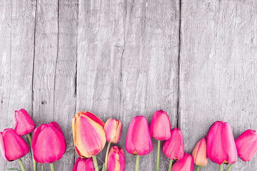 Spring post card background containing background wooden and apple   Flower backgrounds Postcard Spring blooms
