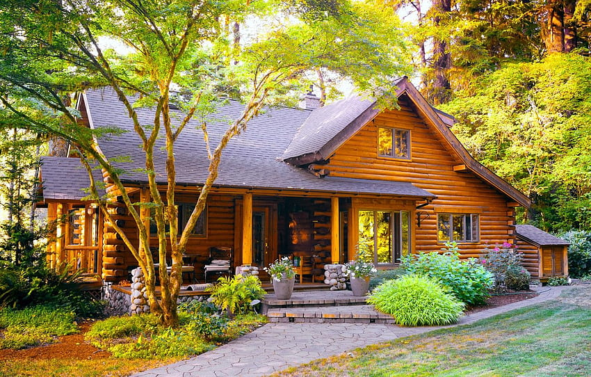 summer, house in the woods, wooden house, forest, nature, cottage summer HD wallpaper