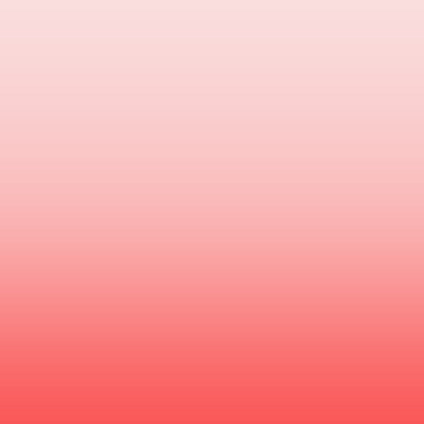 backgrounds warna polos, pink polos background HD phone wallpaper