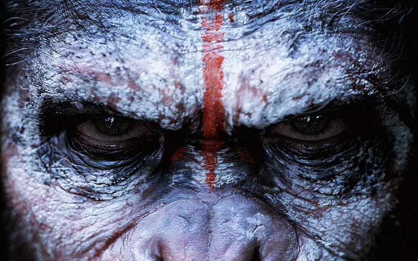 Monkey face, Dawn of the Planet of the Apes, Planet of the HD wallpaper