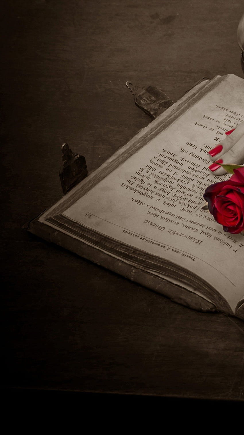 Prayer Book, Rose, Red Rose, Book, Old Book, Antique, rose in book HD phone wallpaper