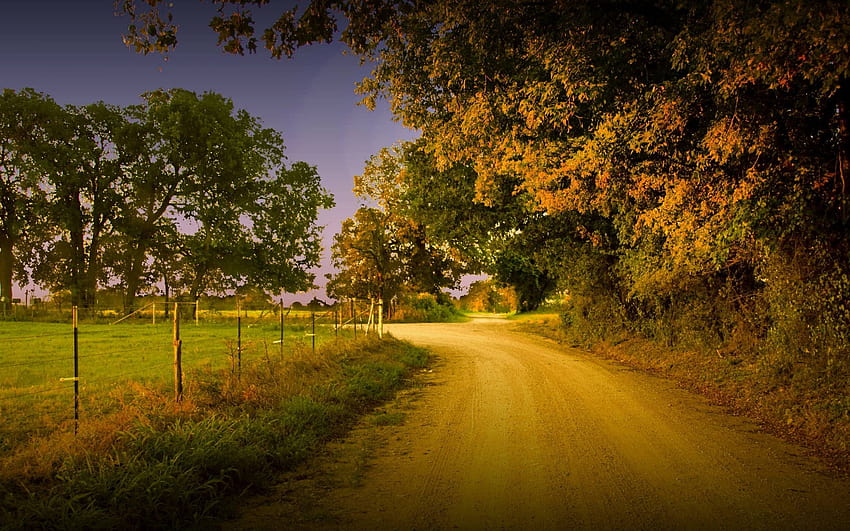 Old Country Roads, trees along the road HD wallpaper