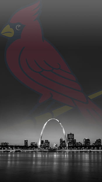 St. Louis City SC wallpaper by ElnazTajaddod - Download on ZEDGE™