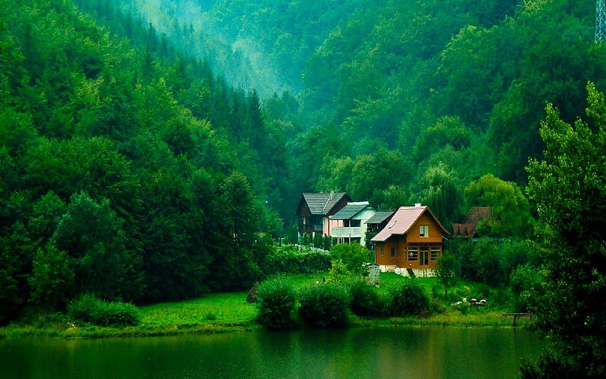 Rumah dengan Hutan Hijau, hijau damai Wallpaper HD