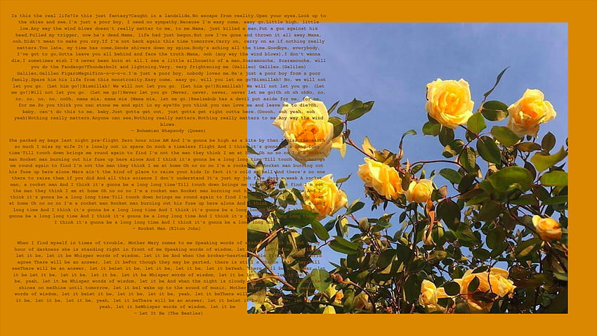 Grunge Yellow Aesthetic Mac, grunge aesthetic mac HD wallpaper
