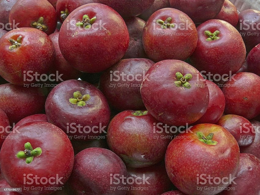 Frutas Garcinia Indica Kokam Fruit Stock fondo de pantalla