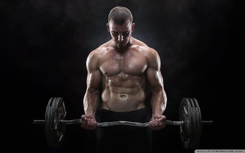 Männliches Fitnessmodell modelliert Männermuskeln, männliches Fitnessmodell HD-Hintergrundbild